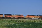 BNSF 9291 Roster shot 